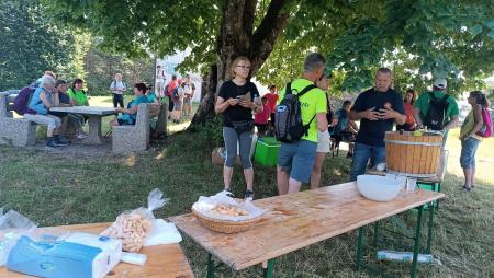 V hladni senčiči  na Vrhu nad Želimljami